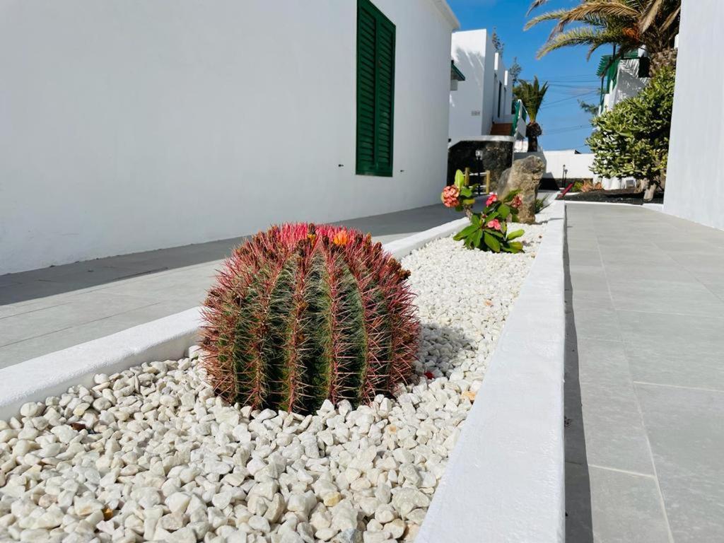 Casa Adelfa Apartment Puerto del Carmen  Bagian luar foto